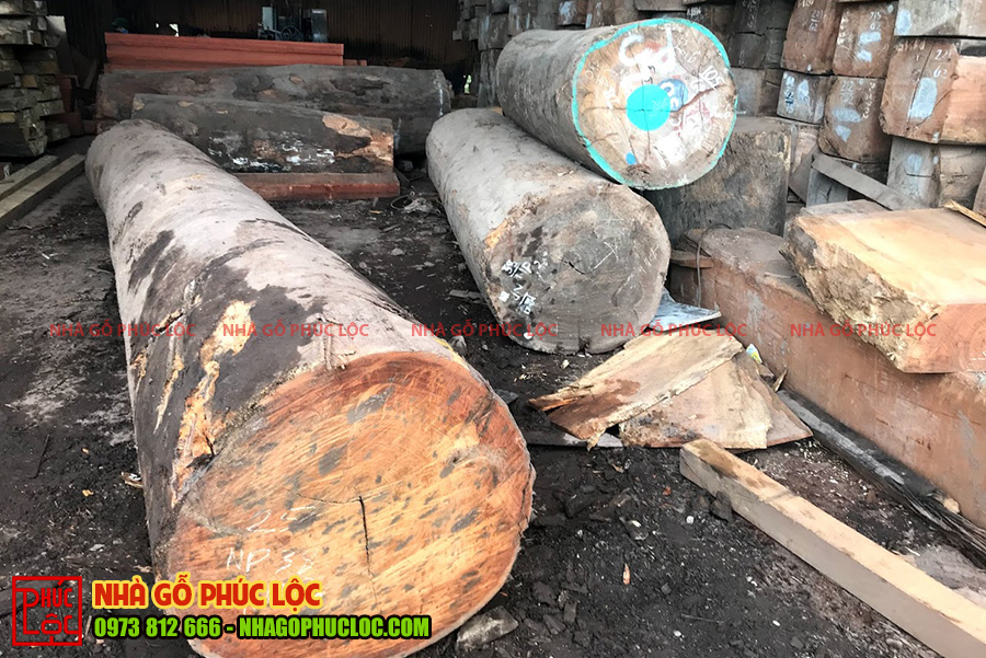 Những loại gỗ tốt và đạt chất lượng để làm nhà cổ gỗ truyền Bắc Bộ